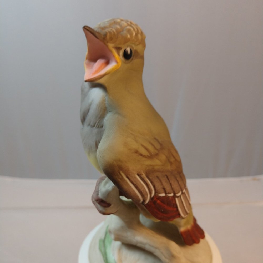 Baby Crested Flycatcher 458